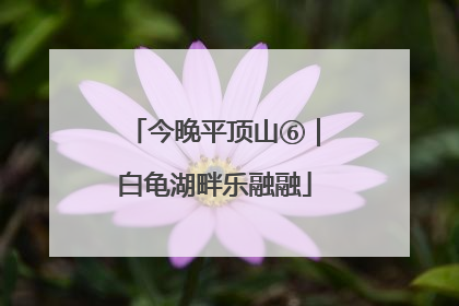 今晚平顶山⑥｜白龟湖畔乐融融