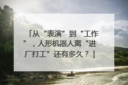 从“表演”到“工作”，人形机器人离“进厂打工”还有多久？｜机器人商业新纪元