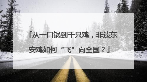 从一口锅到千只鸡，非遗东安鸡如何“飞”向全国？