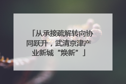 从承接疏解转向协同跃升，武清京津产业新城“焕新”