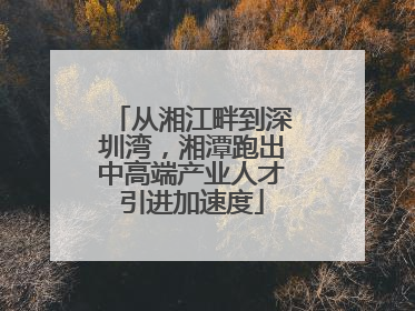 从湘江畔到深圳湾，湘潭跑出中高端产业人才引进加速度
