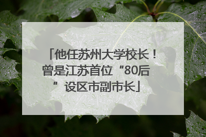 他任苏州大学校长！曾是江苏首位“80后”设区市副市长