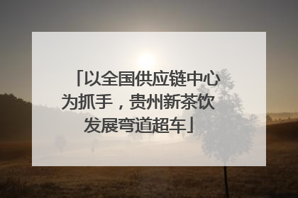 以全国供应链中心为抓手，贵州新茶饮发展弯道超车