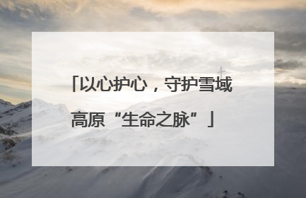 以心护心，守护雪域高原“生命之脉”