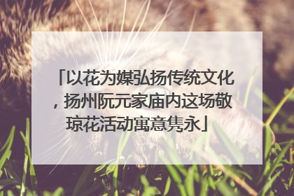 以花为媒弘扬传统文化，扬州阮元家庙内这场敬琼花活动寓意隽永