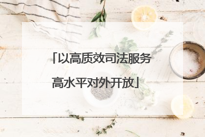 以高质效司法服务高水平对外开放