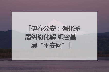 伊春公安：强化矛盾纠纷化解 织密基层“平安网”