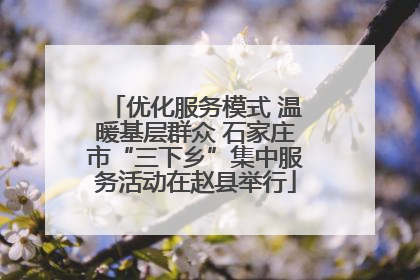 优化服务模式 温暖基层群众 石家庄市“三下乡”集中服务活动在赵县举行
