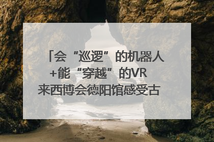 会“巡逻”的机器人+能“穿越”的VR 来西博会德阳馆感受古蜀文明与现代智造的时空对话｜西博视界