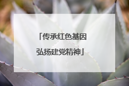 传承红色基因 弘扬建党精神