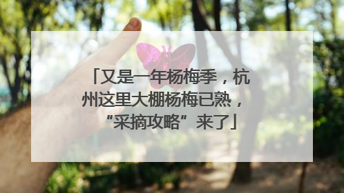 又是一年杨梅季，杭州这里大棚杨梅已熟，“采摘攻略”来了