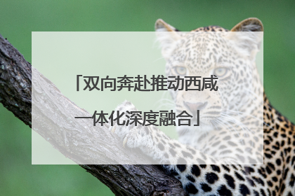 双向奔赴推动西咸一体化深度融合