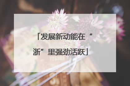 发展新动能在“浙”里强劲活跃
