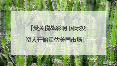 受关税战影响 国际投资人开始重估美国市场