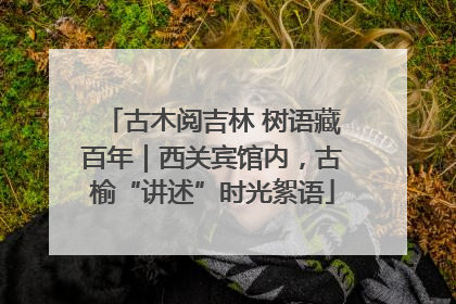 古木阅吉林 树语藏百年｜西关宾馆内，古榆“讲述”时光絮语