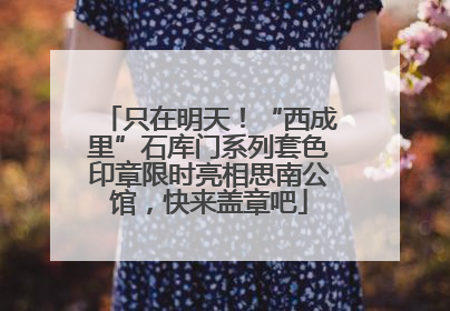 只在明天！“西成里”石库门系列套色印章限时亮相思南公馆，快来盖章吧