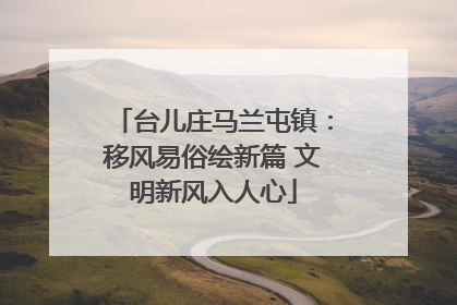 台儿庄马兰屯镇：移风易俗绘新篇 文明新风入人心