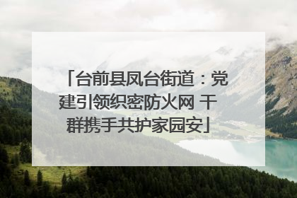 台前县凤台街道：党建引领织密防火网 干群携手共护家园安
