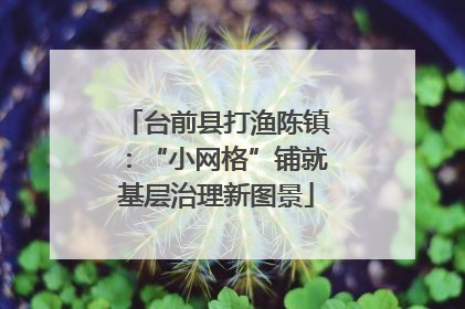 台前县打渔陈镇：“小网格”铺就基层治理新图景