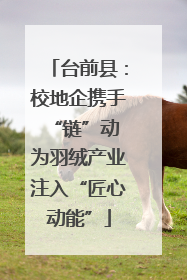 台前县：校地企携手“链”动 为羽绒产业注入“匠心动能”