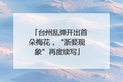 台州乱弹开出首朵梅花，“浙婺现象”再度续写