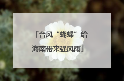 台风“蝴蝶”给海南带来强风雨