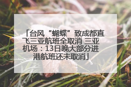 台风“蝴蝶”致成都直飞三亚航班全取消 三亚机场：13日晚大部分进港航班还未取消