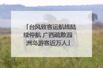 台风致客运航线陆续停航 广西疏散涠洲岛游客近万人