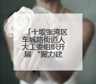 十堰张湾区车城路街道人大工委组织开展 “聚力建支点·建功示范区”代表行动