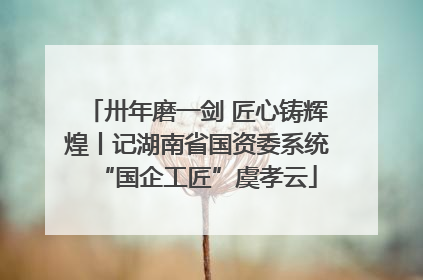 卅年磨一剑 匠心铸辉煌丨记湖南省国资委系统“国企工匠”虞孝云