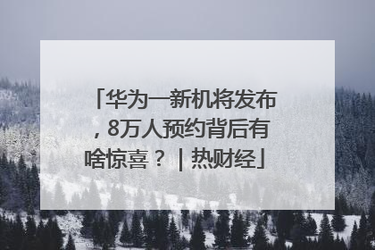 华为一新机将发布，8万人预约背后有啥惊喜？｜热财经
