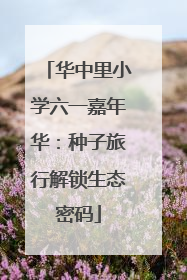 华中里小学六一嘉年华：种子旅行解锁生态密码