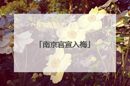 南京官宣入梅