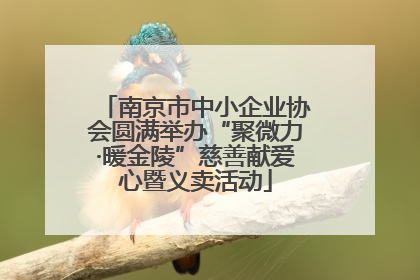 南京市中小企业协会圆满举办“聚微力·暖金陵”慈善献爱心暨义卖活动