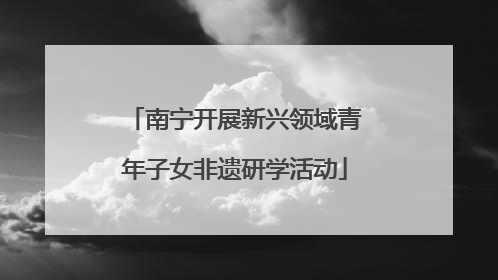 南宁开展新兴领域青年子女非遗研学活动