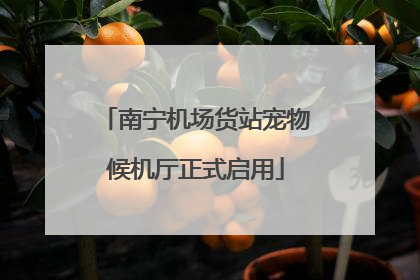 南宁机场货站宠物候机厅正式启用