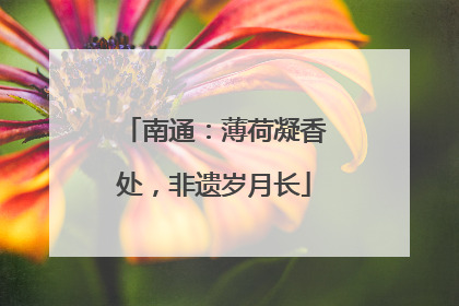 南通：薄荷凝香处，非遗岁月长