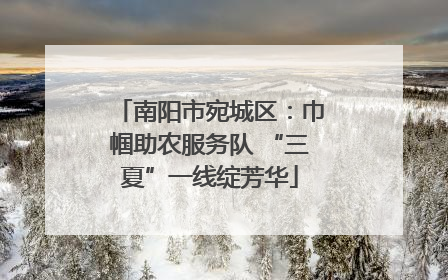 南阳市宛城区：巾帼助农服务队 “三夏”一线绽芳华