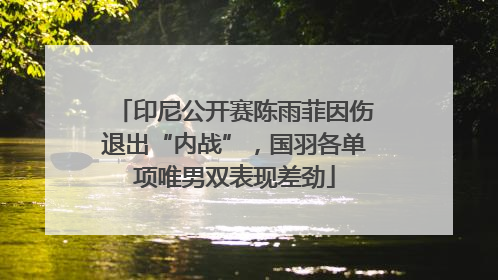 印尼公开赛陈雨菲因伤退出“内战”，国羽各单项唯男双表现差劲