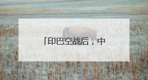 印巴空战后，中国歼-10CE航展上成流量担当
