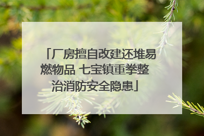 厂房擅自改建还堆易燃物品 七宝镇重拳整治消防安全隐患