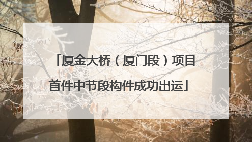 厦金大桥（厦门段）项目首件中节段构件成功出运