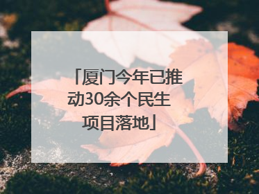 厦门今年已推动30余个民生项目落地
