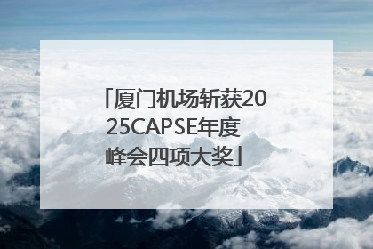 厦门机场斩获2025CAPSE年度峰会四项大奖
