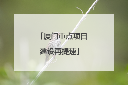 厦门重点项目建设再提速
