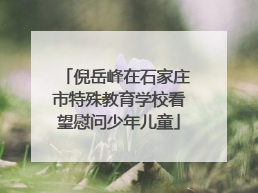 倪岳峰在石家庄市特殊教育学校看望慰问少年儿童