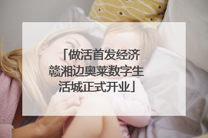 做活首发经济 赣湘边奥莱数字生活城正式开业