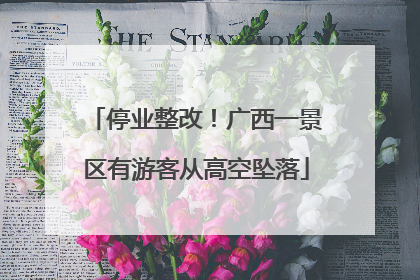 停业整改！广西一景区有游客从高空坠落