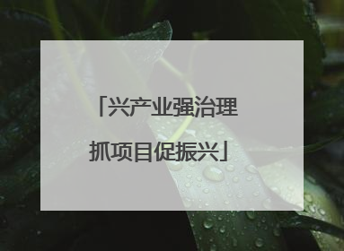 兴产业强治理 抓项目促振兴