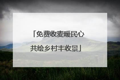 免费收麦暖民心 共绘乡村丰收景